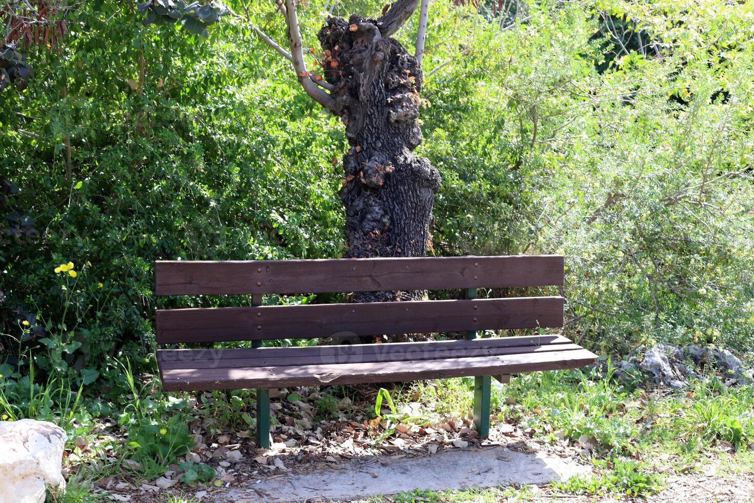 A bench for relaxing in a city park on the seashore. photo