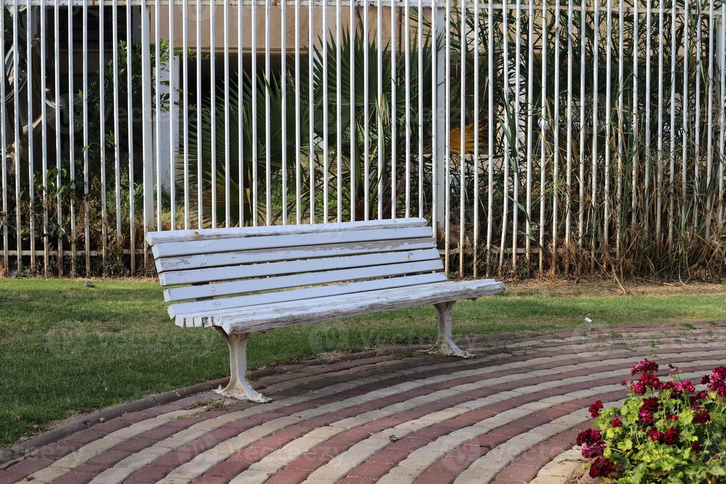 A bench for relaxing in a city park on the seashore. photo