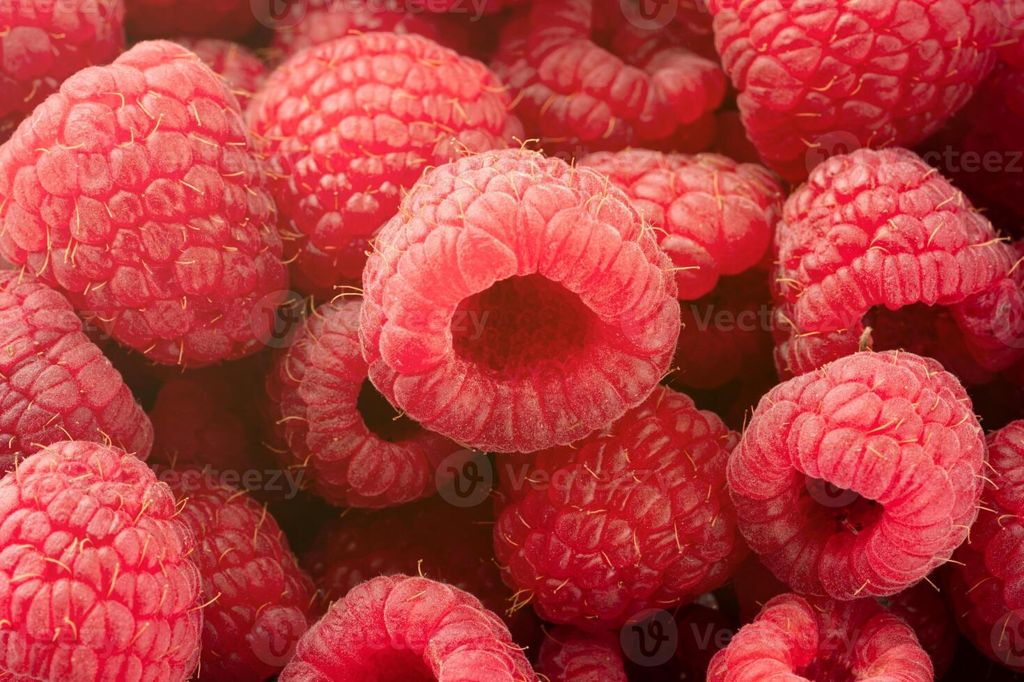background of fresh and appetizing raspberries. raspberry berries close-up background photo
