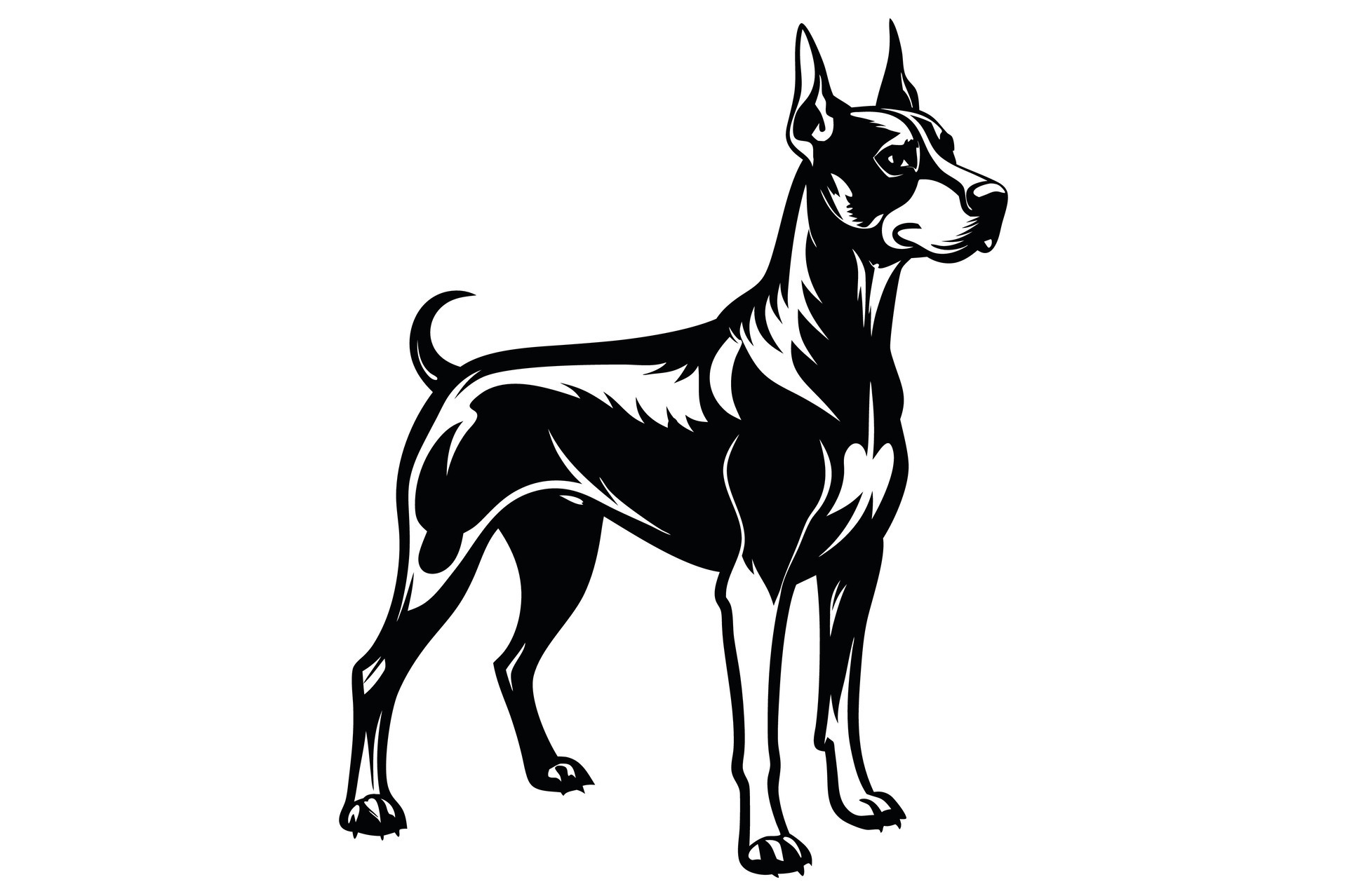 Black and White Silhouette. 46698894 Vector Art at Vecteezy