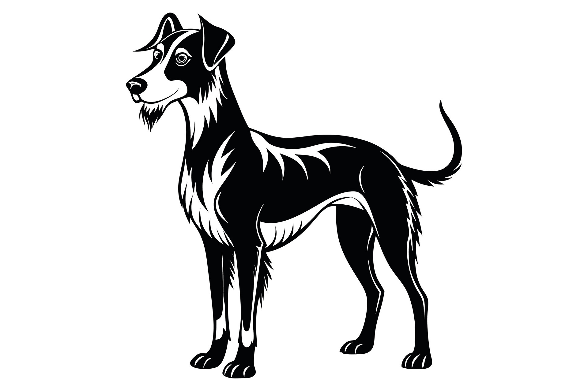 Black and White Silhouette. 46698895 Vector Art at Vecteezy