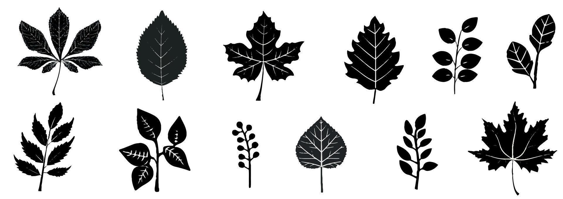 Doodle ink autumn foliage sketch set, leaf brushstroke collection, hand drawn organic icon kit. Abstract naive botanical outline modern autumn decoration design element. Doodle foliage texture vector