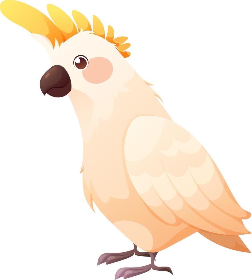 Cute white cacadu parrot. Cartoon illustration of tropical birds on white background vector