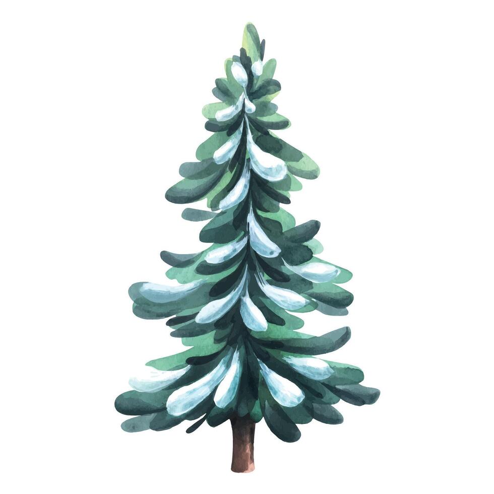 Green Christmas tree with snow. Watercolor illustration. An isolated object from a large set of COZY WINTER. For decoration, design, compositions and decor of New Year and Christmas. vector