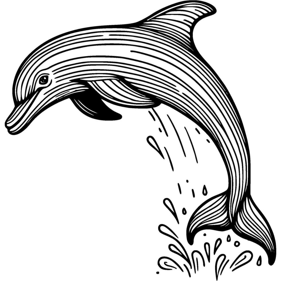 Playful dolphin jumps out of water in monochrome. Dolphin intelligent marine mammal. Simple minimalistic in black ink drawing on white background vector