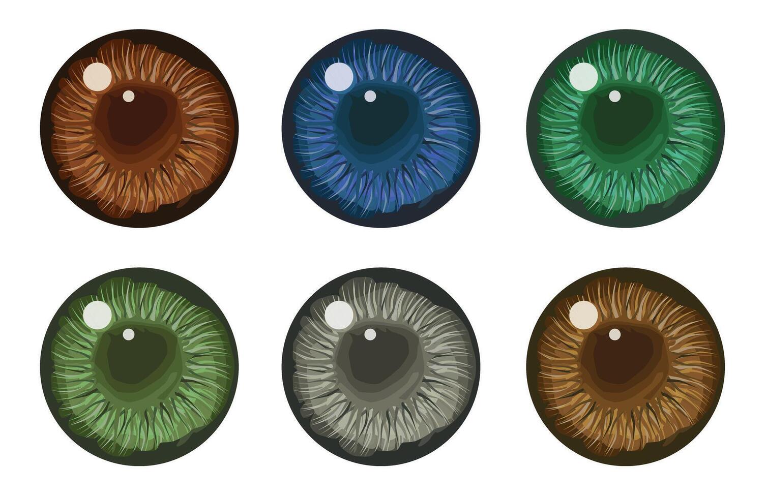 The pupil of the human eye. Eyes are blue, green and brown and gray. Illustration, . vector