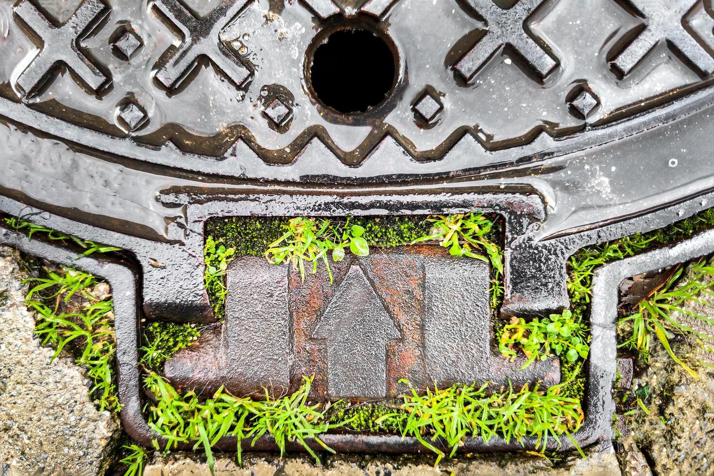 Symbol of Harmonious Fusion of Modern Technology and Nature, Metal Arrow Up Surrounded by Green Grass, Concept of Direction and Movement, and Path to Development and Progress photo