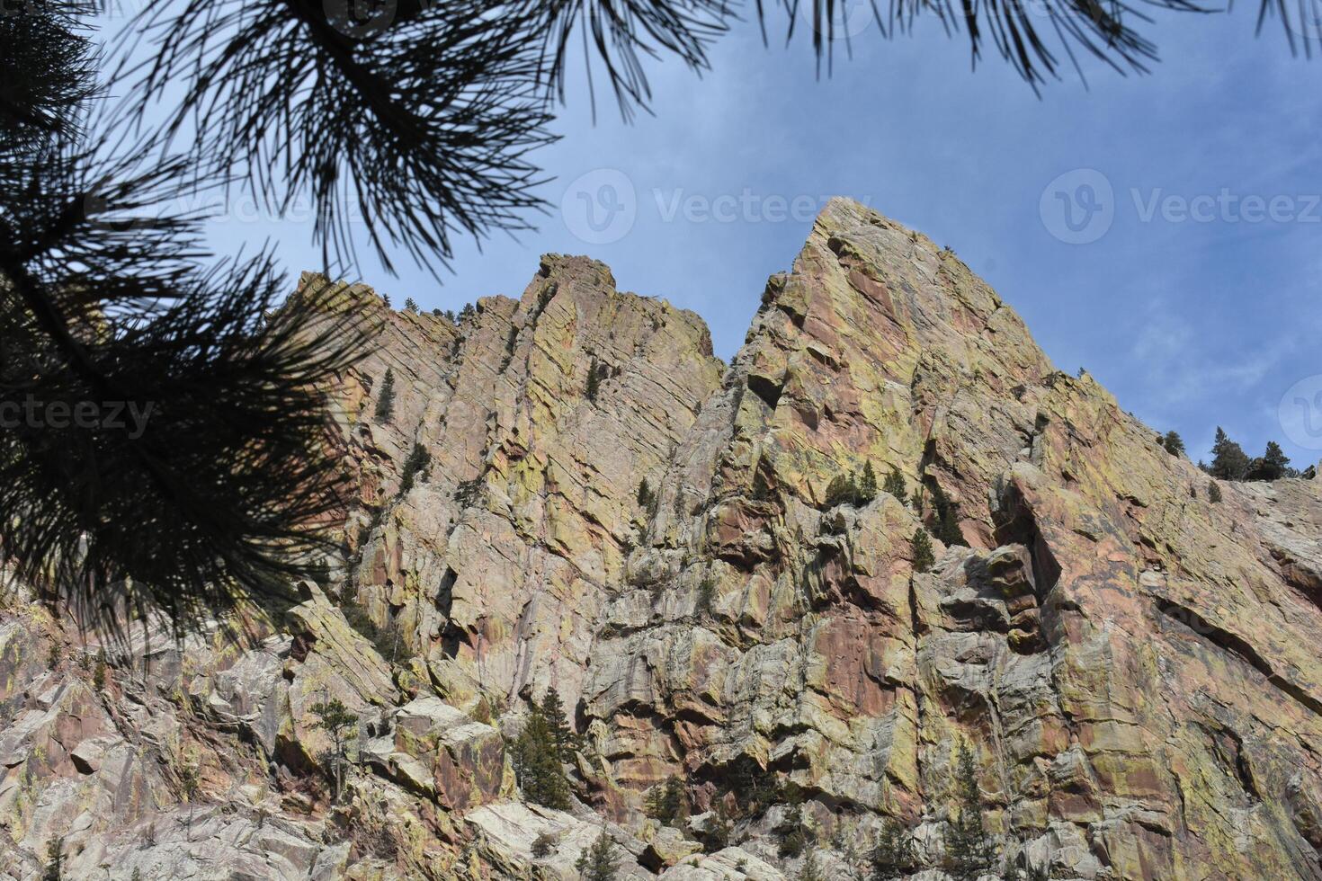 Steep Rocky Cliffs and Pine Tree, Hiking on Fowler Trail Near Boulder, Colorado photo