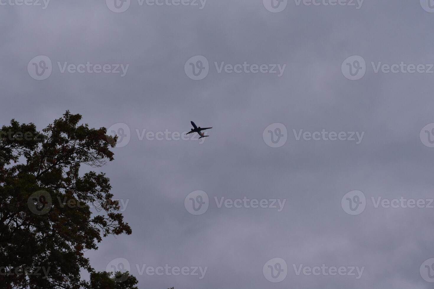 Airplane in Sky, Clouds at Sunset in Bronx, New York photo