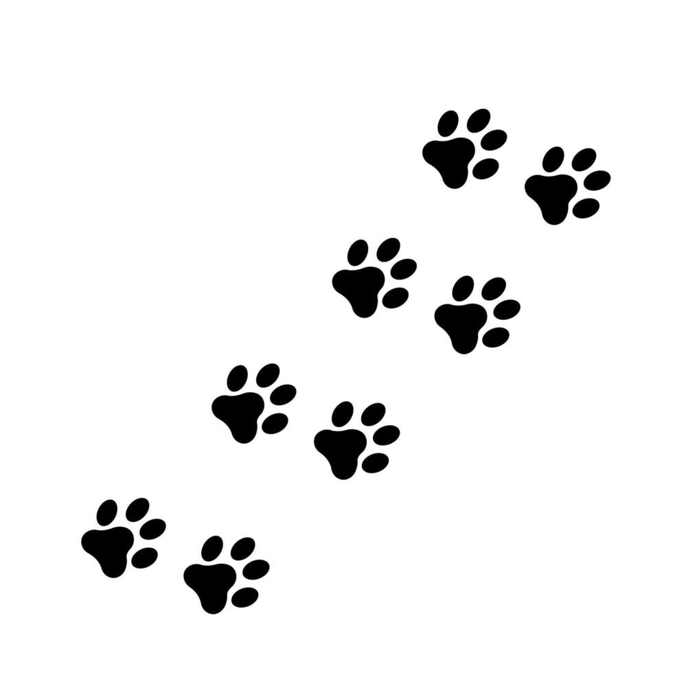 Dog and cat paw print vector