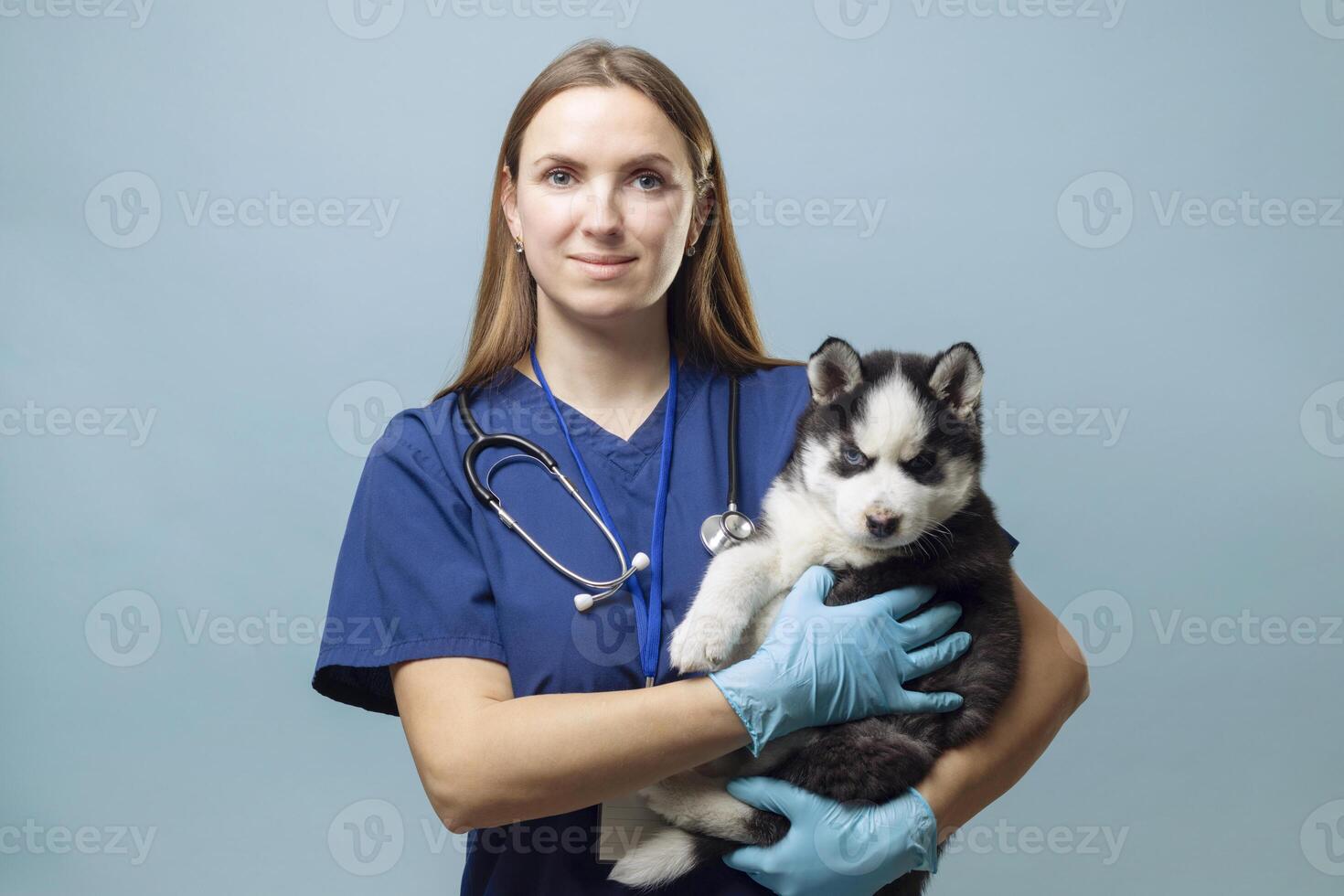 Animal Nurse Stock Photos, Images and Backgrounds for Free Download