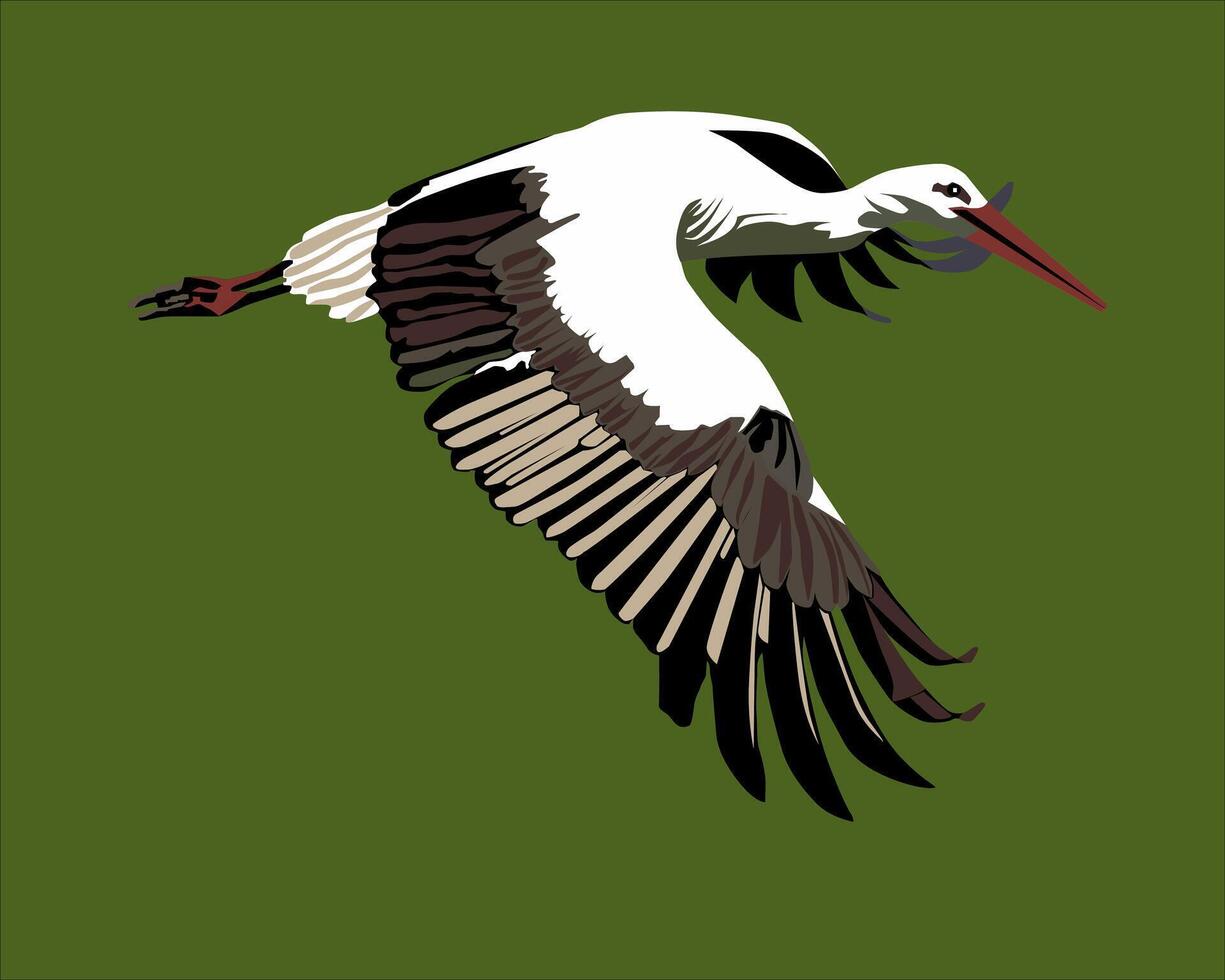 illustration of a white and black-winged stork flying looking for food vector