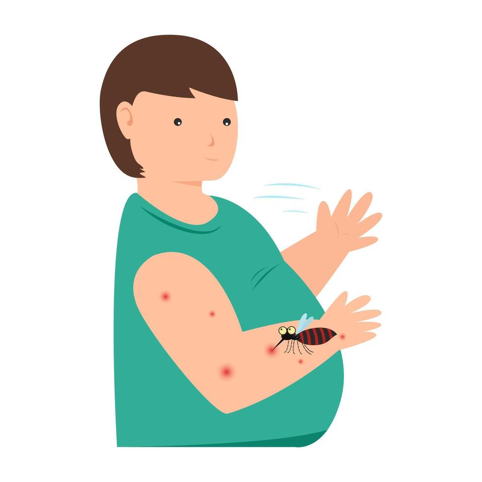 mosquito bitting fat man. fat man high risk severe dengue fever vector