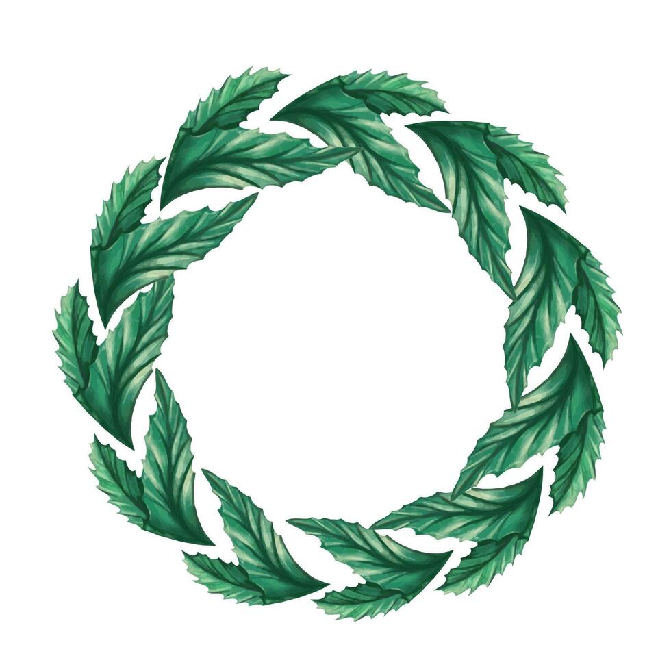 Watercolor wreath with green Holly leaves vector