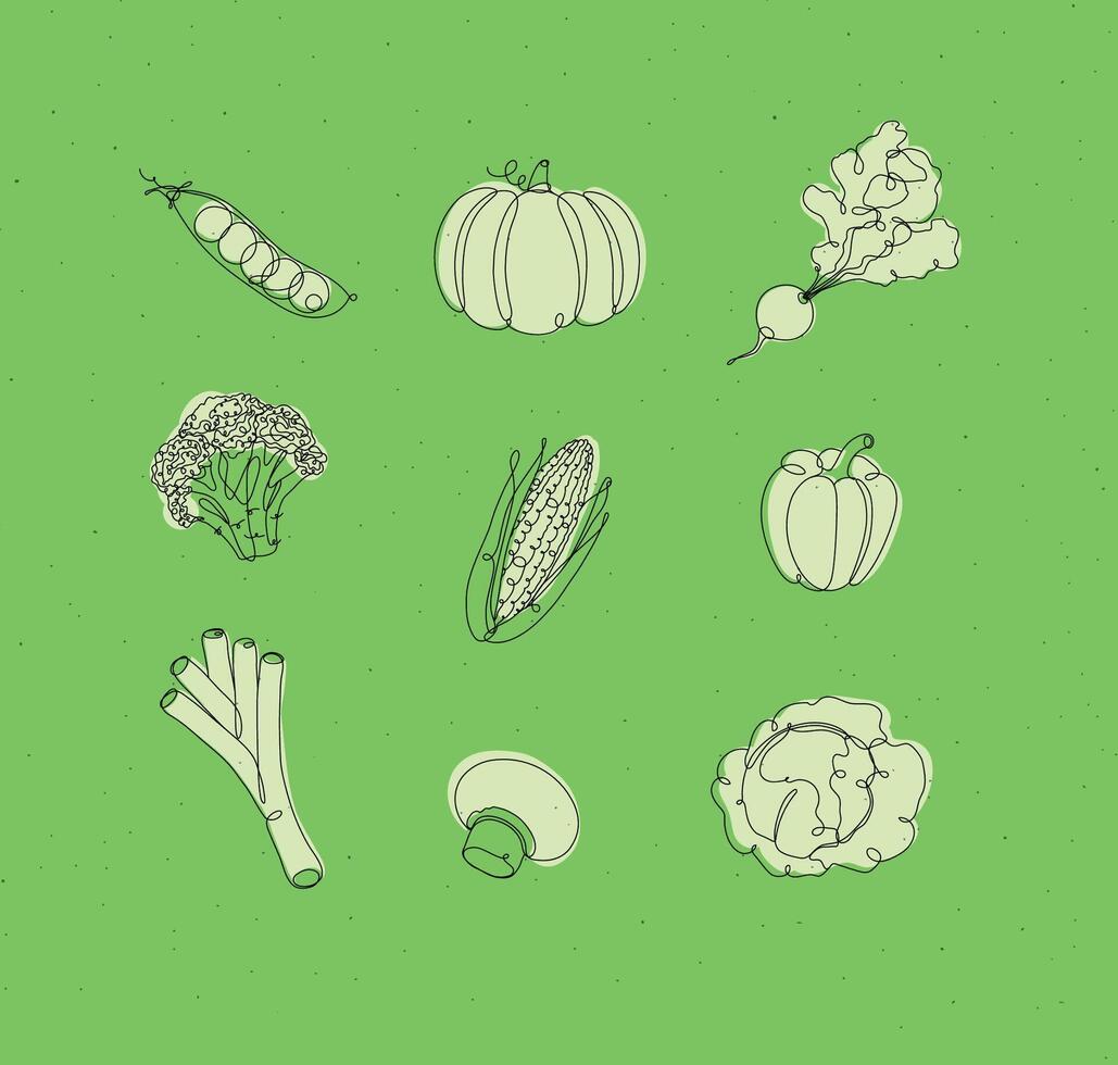 Vegetables icons peas, pumpkin, radish, broccoli, corn, pepper, leek, champignon cabbage drawing in linear style on white background vector