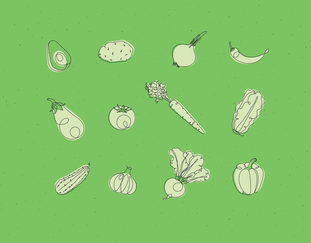 Vegetables icons avocado, potato, onion, chili, eggplant, tomato, carrot, lettuce, cucumber, garlic beet pepper drawing in linear style on green background vector