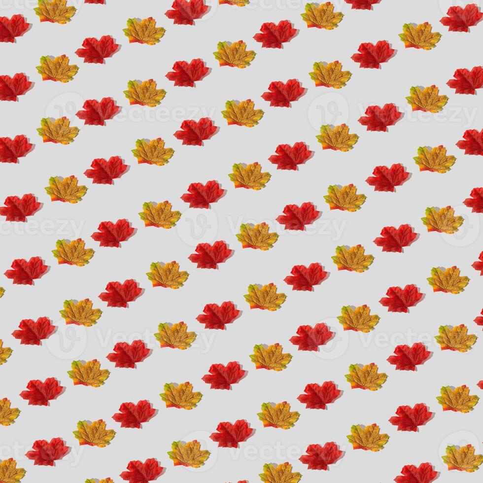 Trendy autumn or fall pattern made with colorful fallen leaves on white background. Minimal autumn leaves composition. Nature flat lay. Creative season concept. Autumn aesthetic. photo