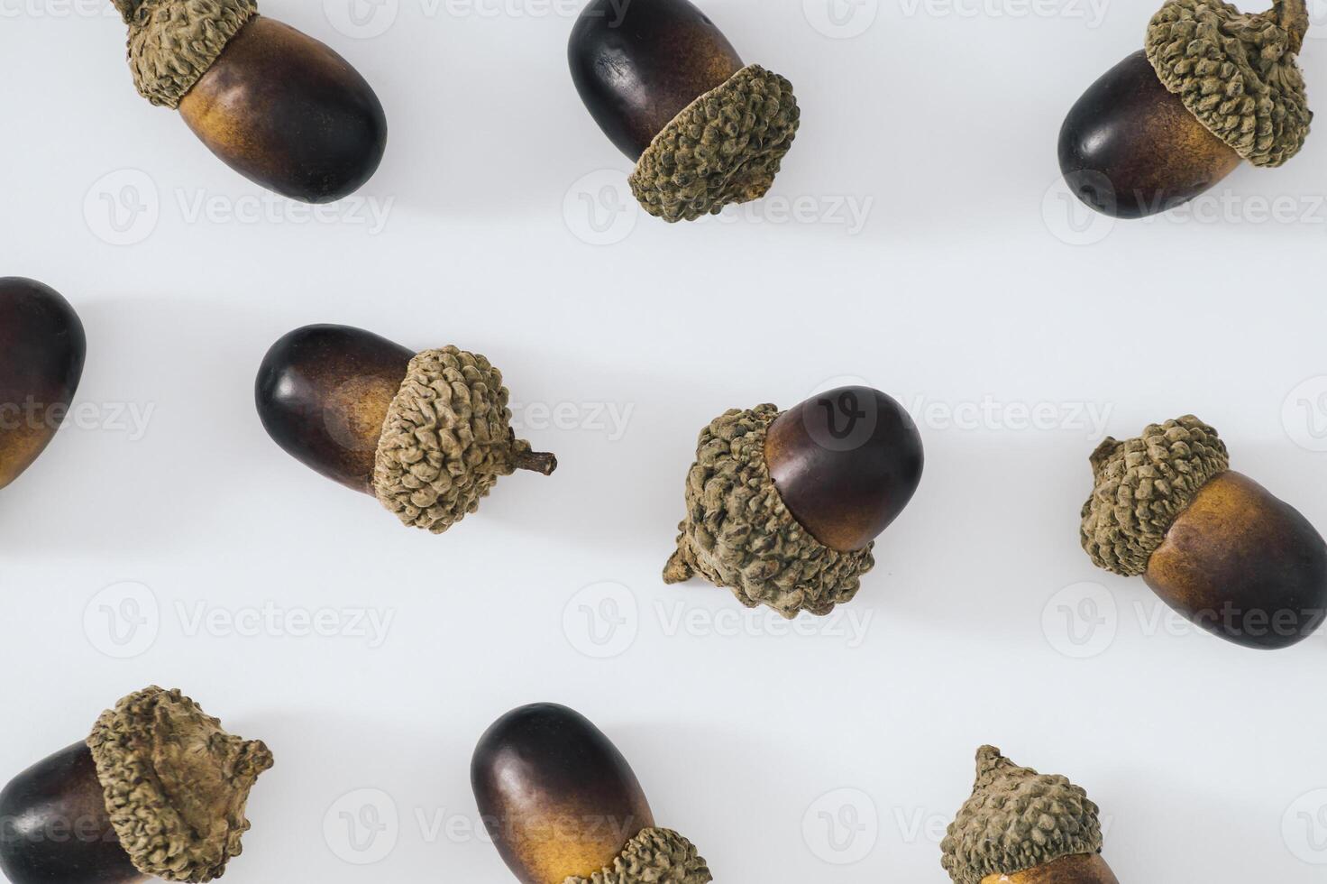 Autumn or fall scene background with acorns or oak nuts on white background. Minimal nature seasonal concept. Creative trendy pattern background idea. Flat lay composition. Autumn aesthetic. photo