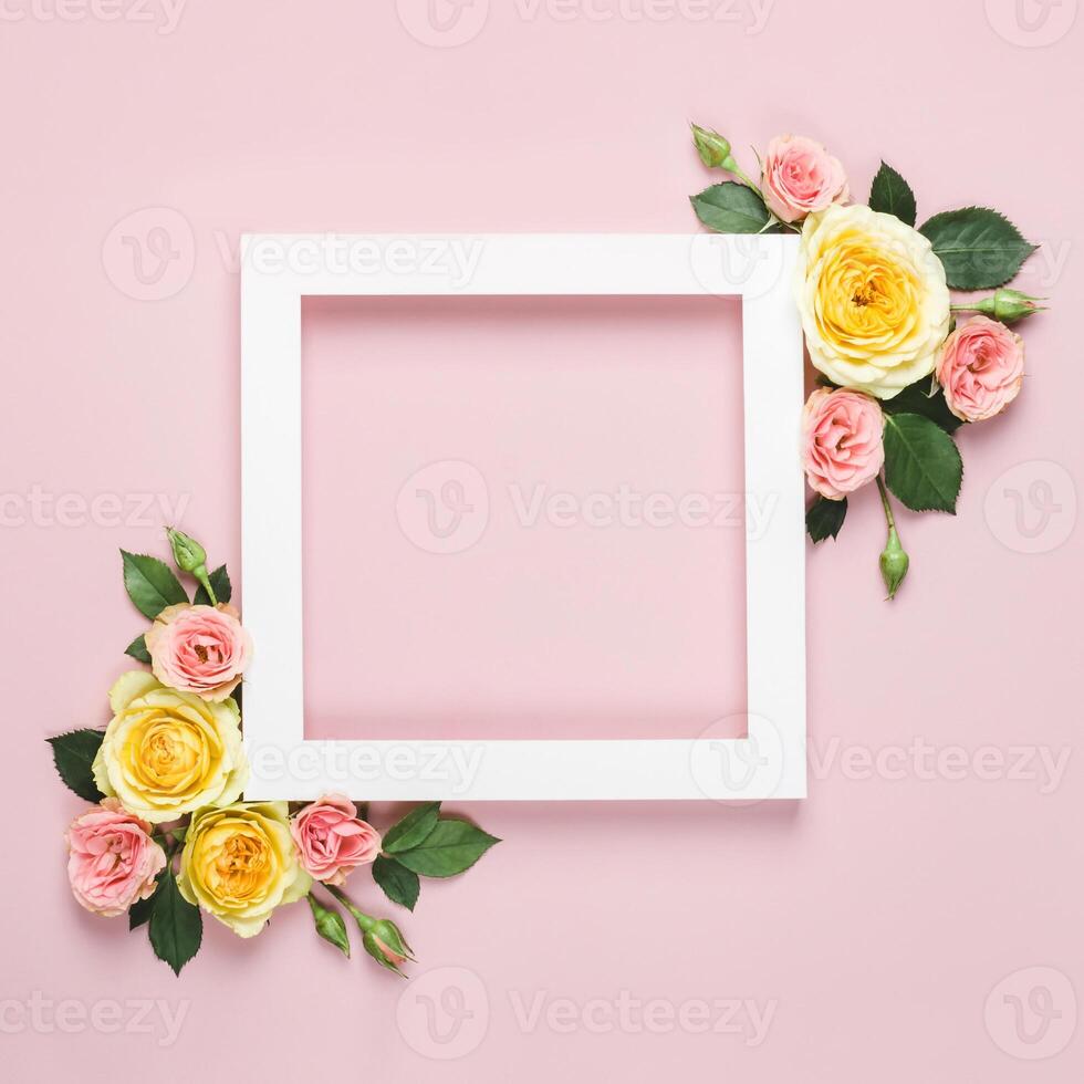 White paper Frame of beautiful roses on pink background. Minimal holiday concept with copy space. Woman day, Valentines day layout photo