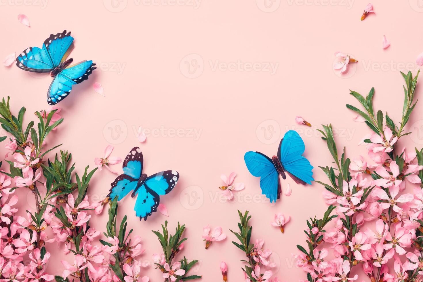 Beautiful flowering branches of almonds and blue butterflies on a pink background. Floral festive frame. photo