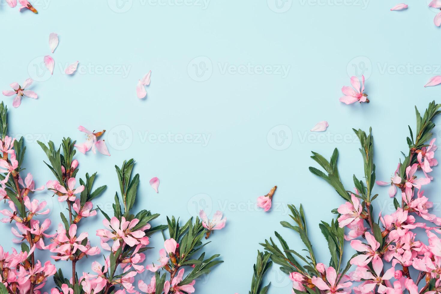 Beautiful flowering branches of almonds on a blue background. Floral festive frame. photo