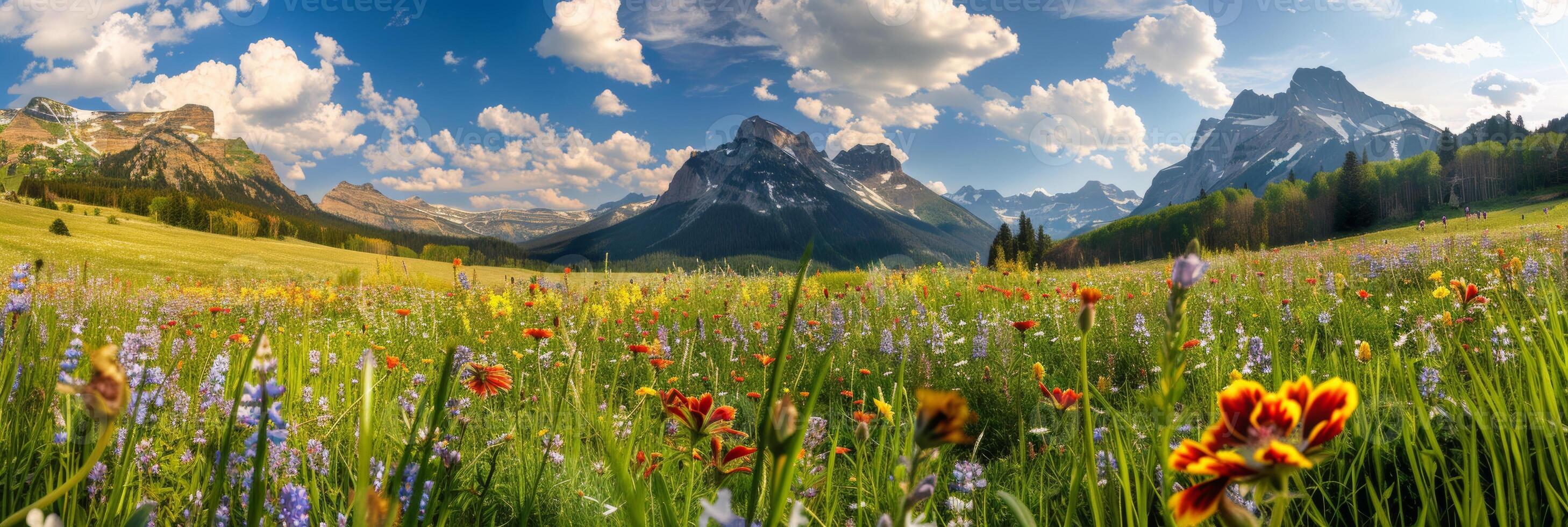Vibrant wildflowers in a meadow with towering snow-capped mountains in the background. photo