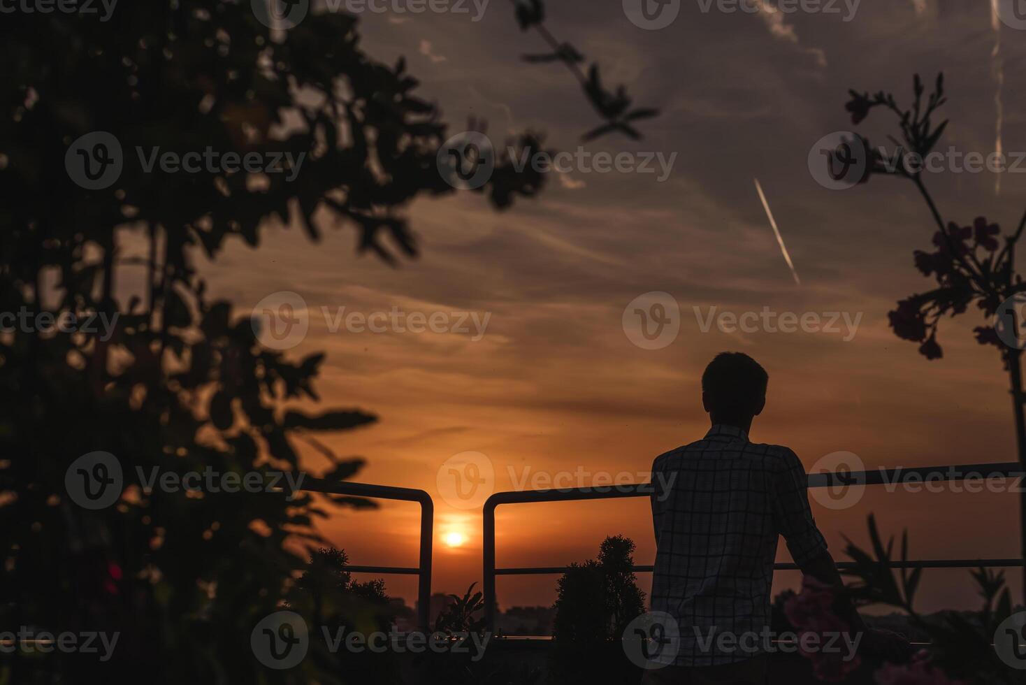 Man Watching Sunset on Rooftop Garden photo