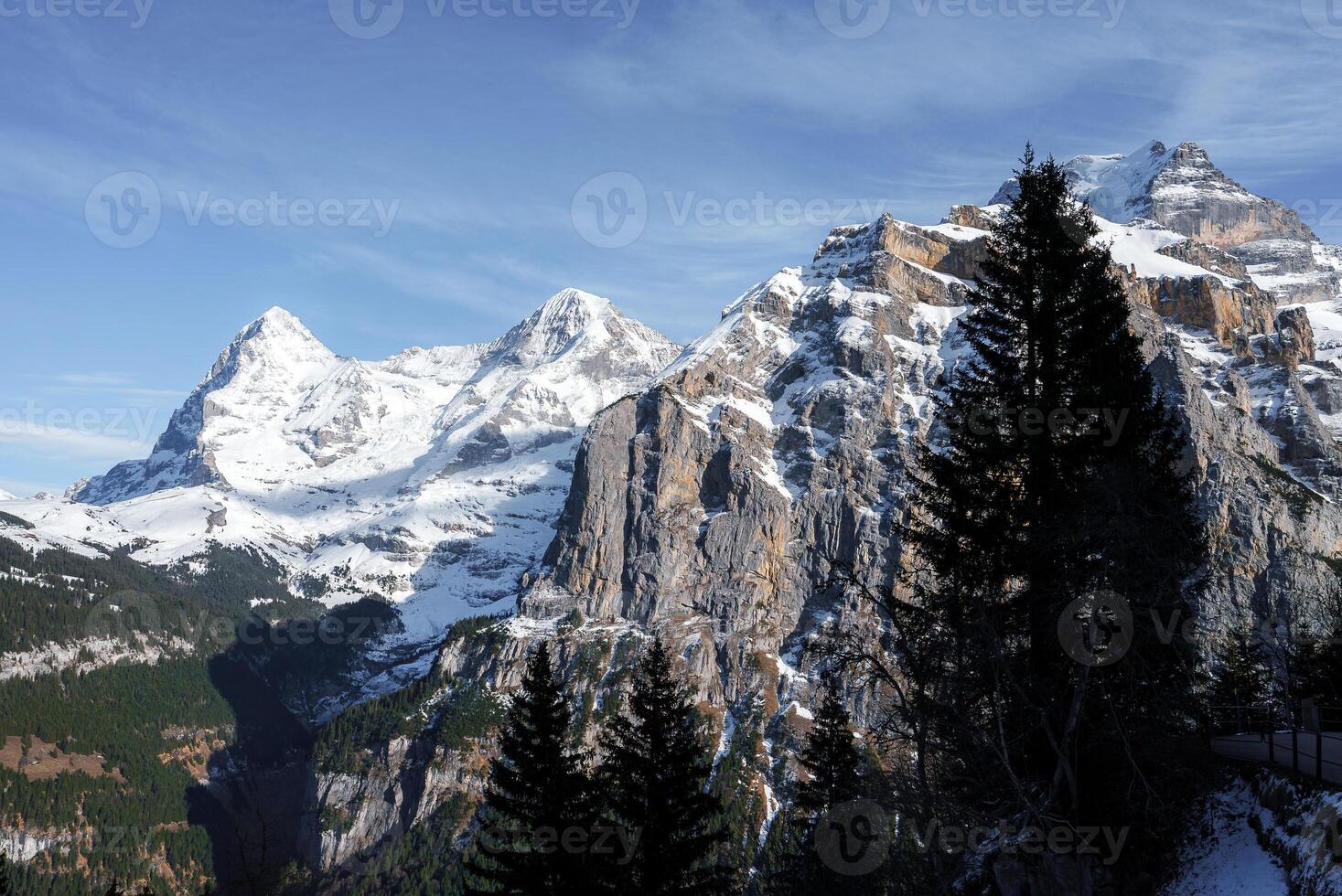 Breathtaking view of Murren ski resort in Switzerland dark green coniferous trees in foreground, snowy mountain slopes, iconic snow capped peaks in background. photo
