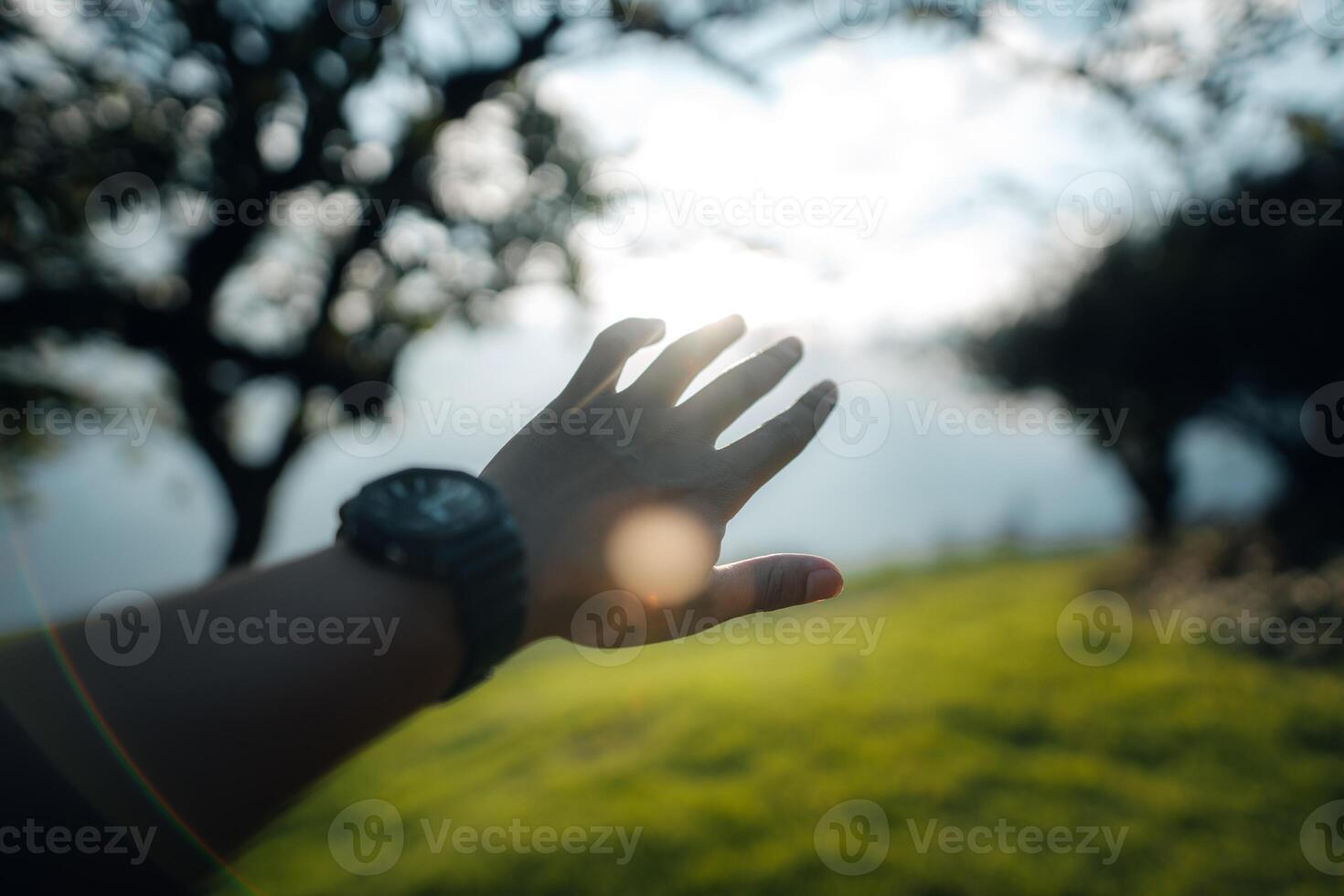 Green fields on the mountains in summer photo