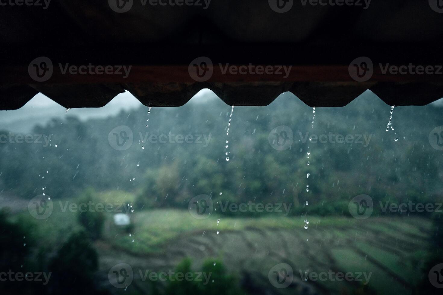Rain falls, water flows down the roof of a house on a rainy day in the countryside. photo