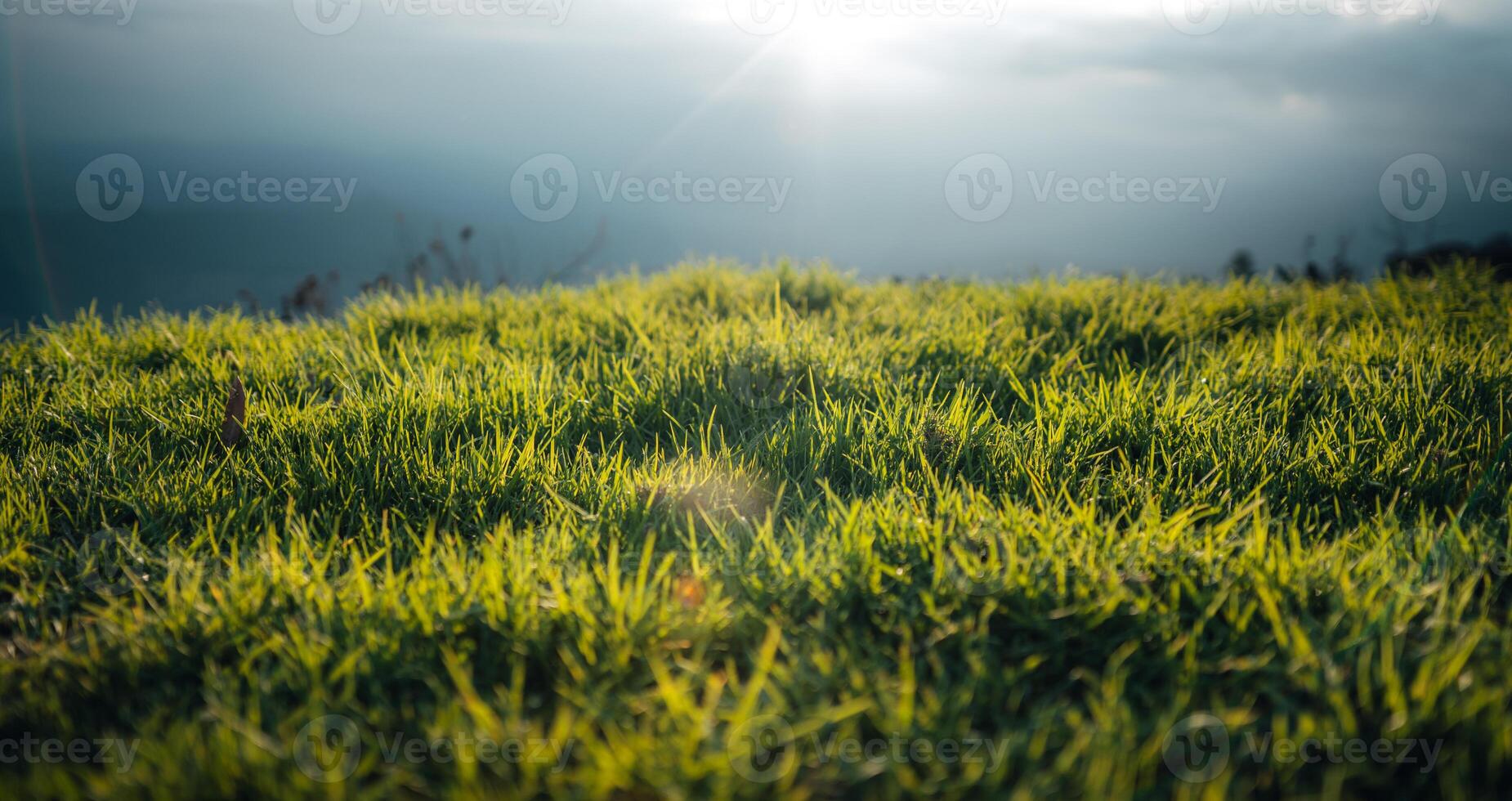 Green fields on the mountains in summer photo