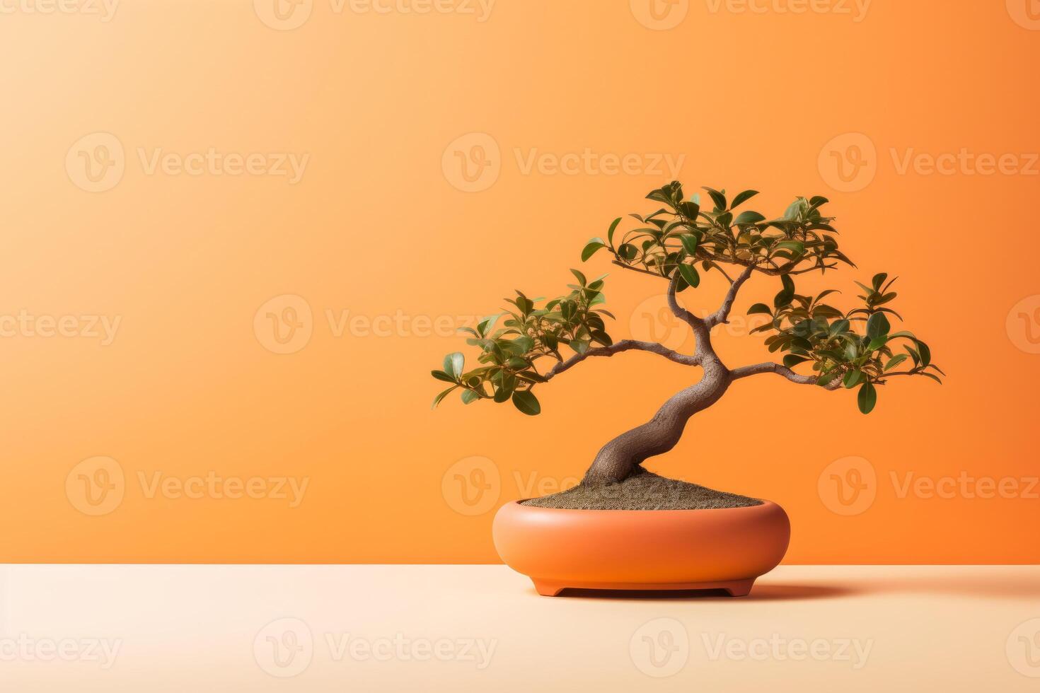Miniature bonsai tree in a ceramic pot on a background with a copy space. photo