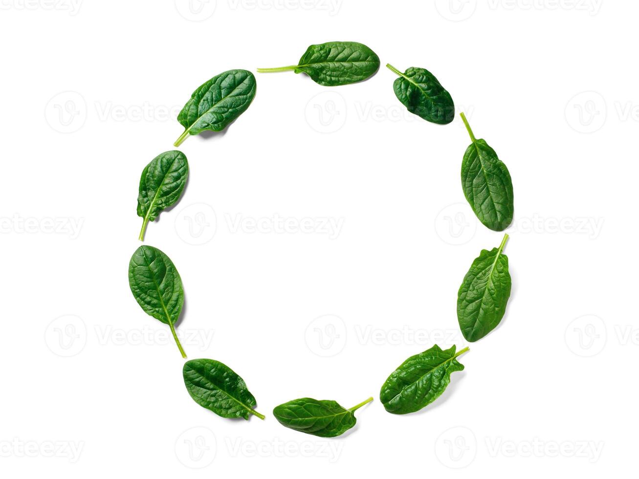 Pattern from baby spinach in round frame isolated photo
