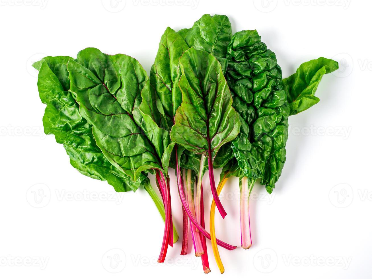 swiss rainbow chard isolated on white photo
