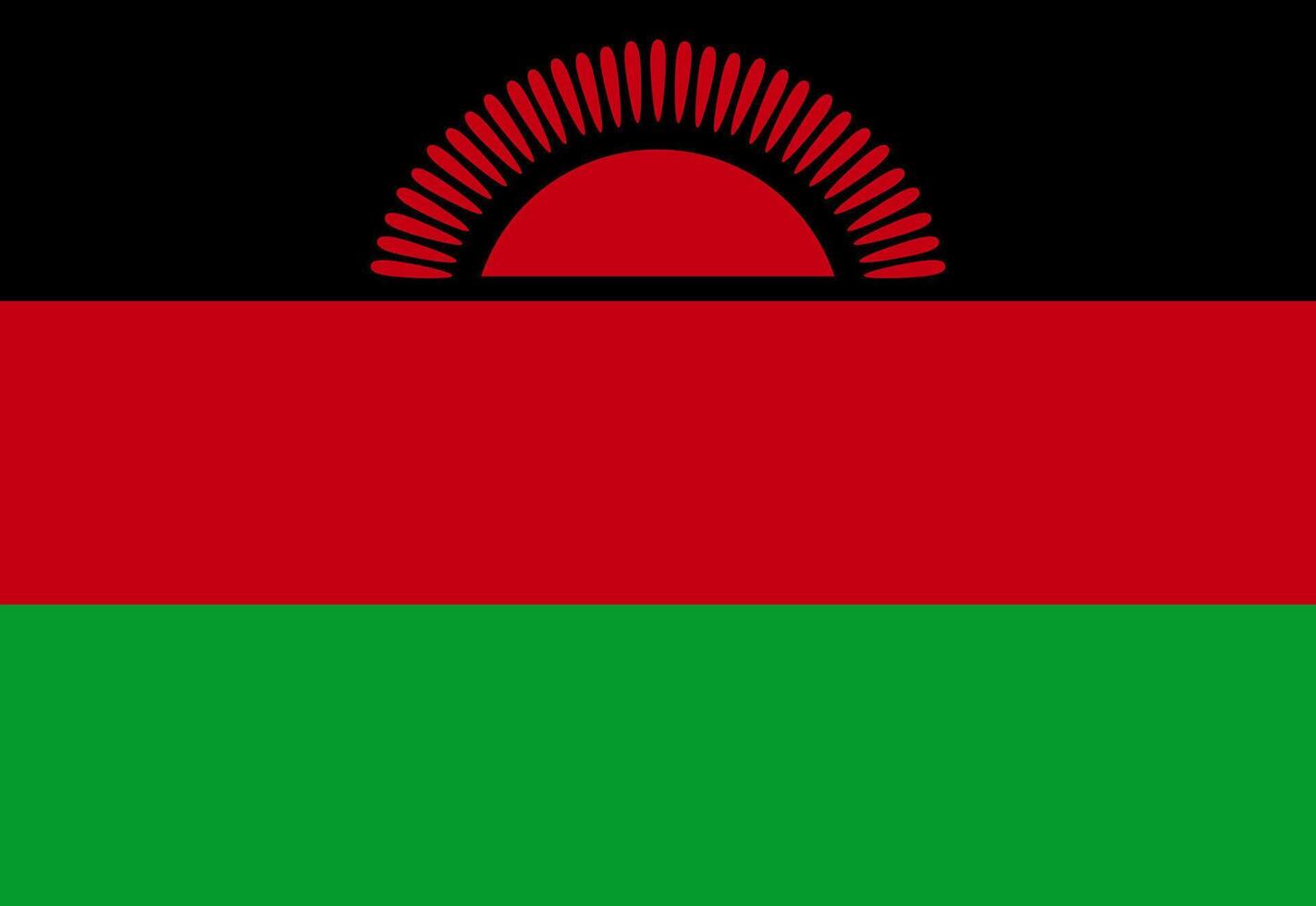 Malawi flag illustrator country flags vector