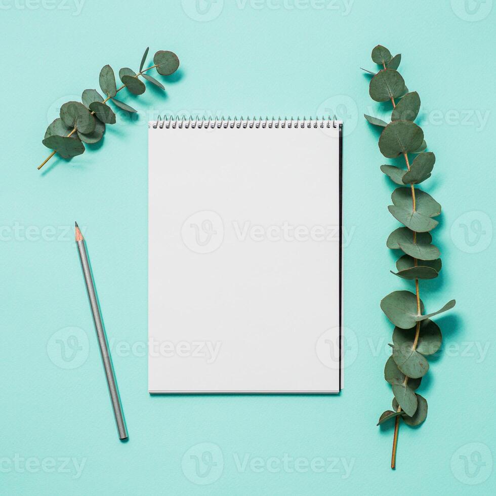 Blank notebook and eucalyptus on blue background photo
