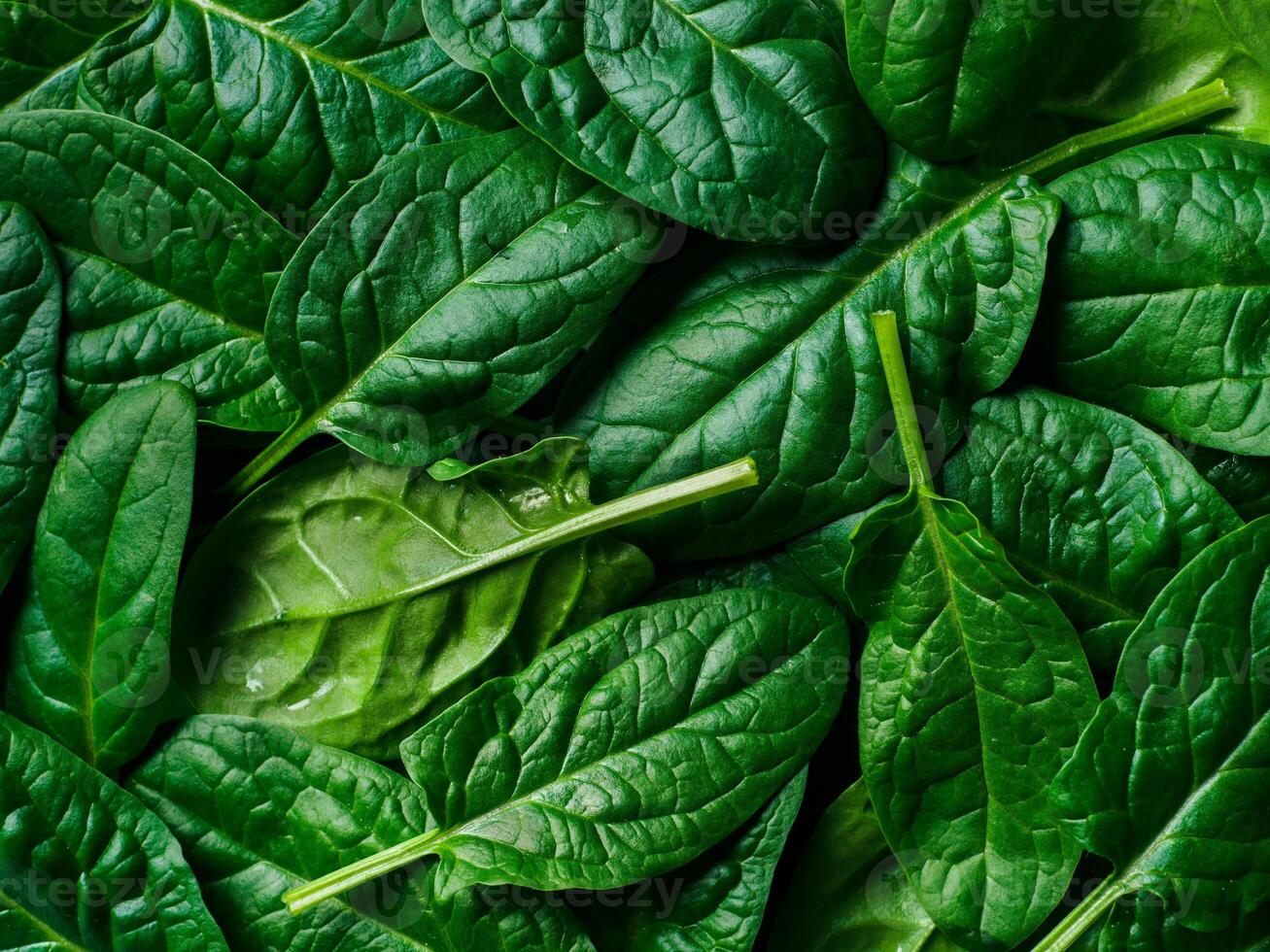 Pattern from baby spinach photo