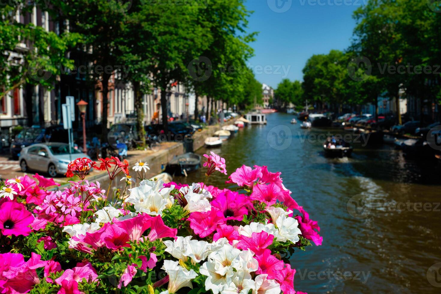 Amsterdam canal and flowers photo