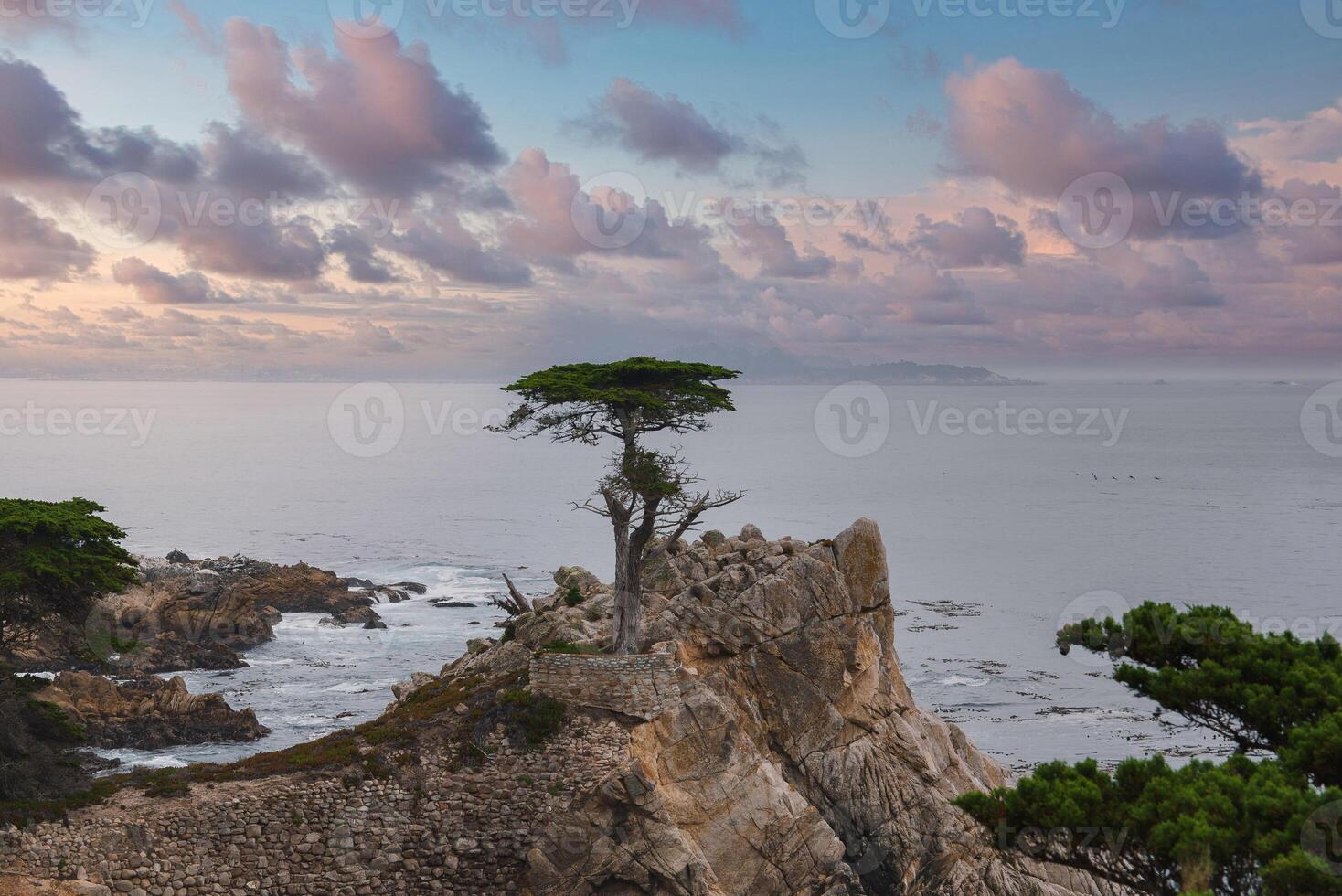 Serene Coastal Scene with Lone Cypress along 17 Mile Drive, California photo