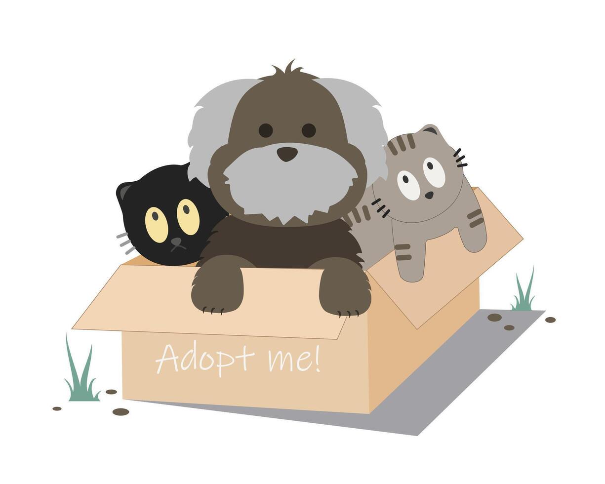 Cute little cats showing tongue inside cardboard box with adopt me text. homeless animals, adopt me concept. Social work or volunteering recent flat illustration vector