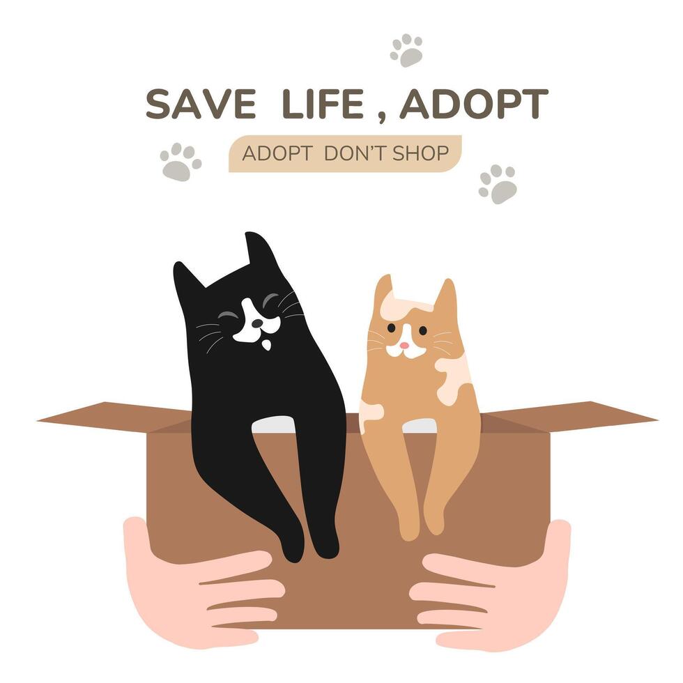 Cute little cats showing tongue inside cardboard box with adopt me text. homeless animals, adopt me concept. Social work or volunteering recent flat illustration vector