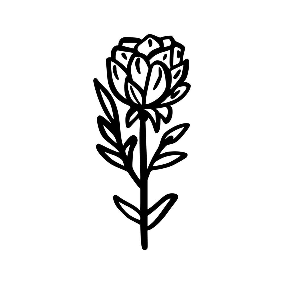 Doodle flower. Magic Object. Sketch vector
