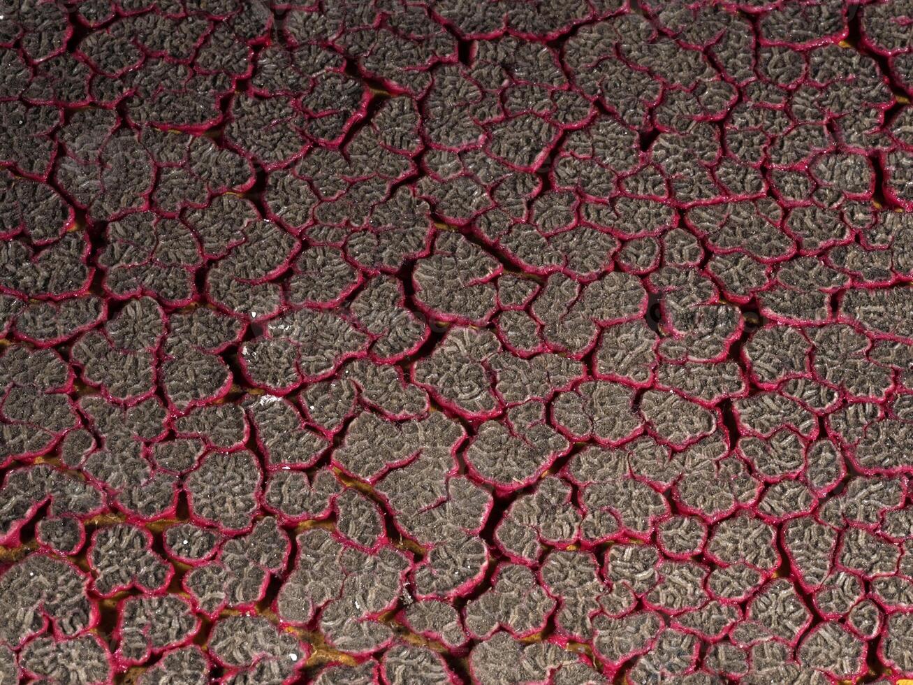 Ping pong racket red rubber cracked by heat photo