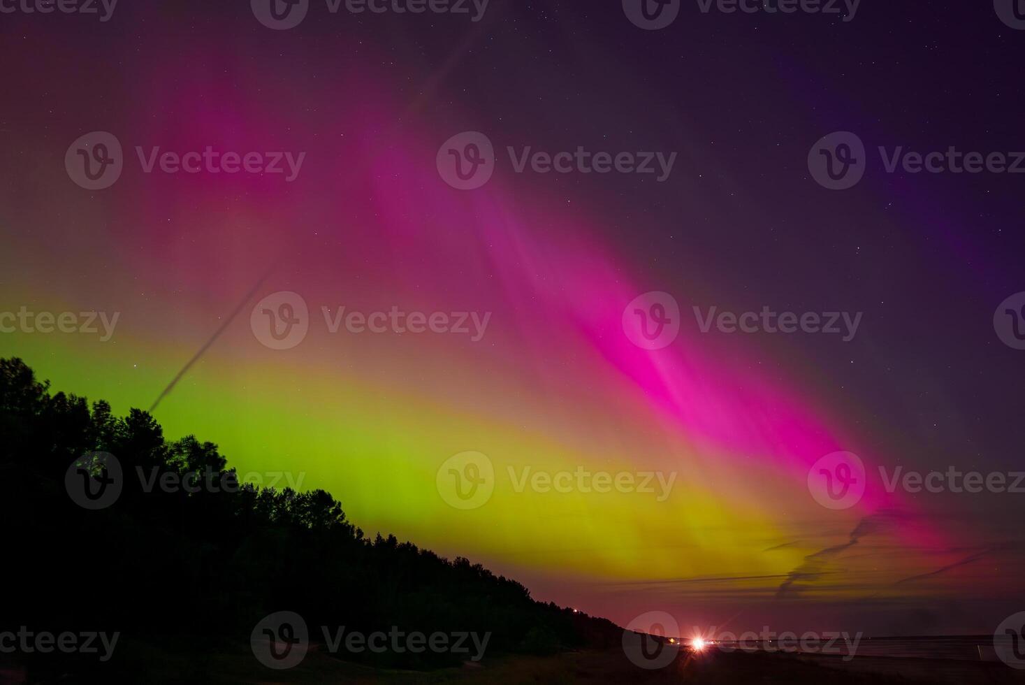 Aurora Borealis Over Coastal Latvia Near Riga and Jurmala with Forest Silhouette photo