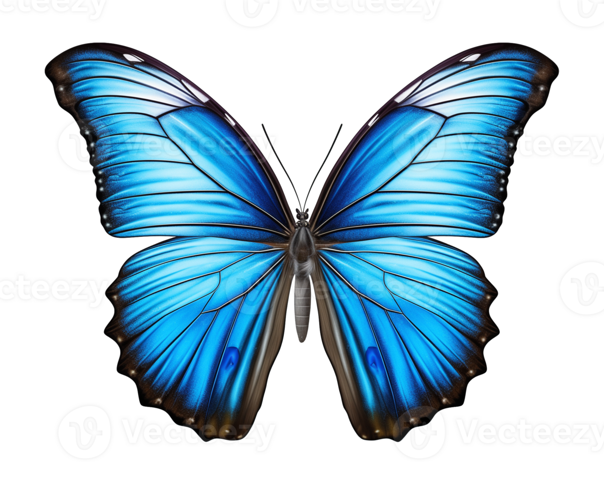 Blue Morpho Butterfly Isolated on Transparent Background png