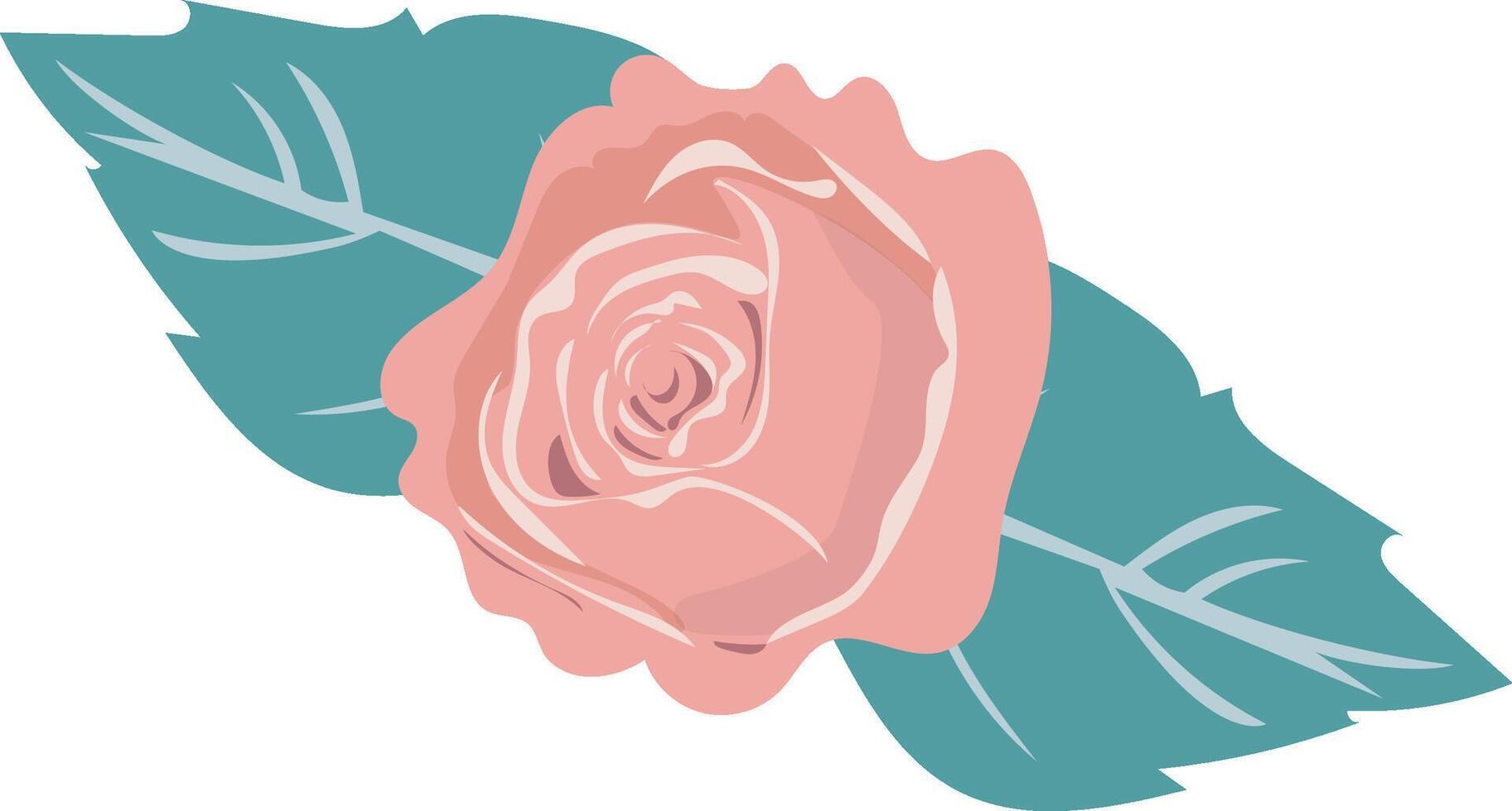 A gently pink rose head with petals in a simple, isolated element vector