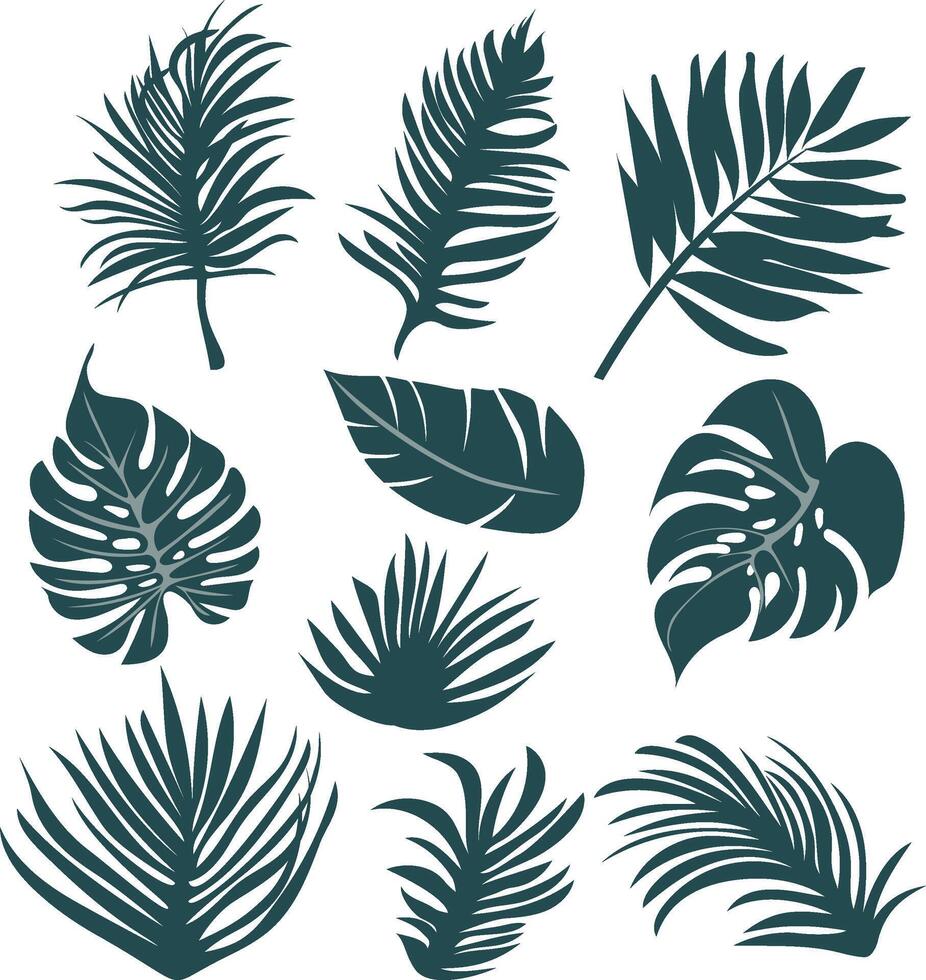 A set of 10 silhouettes of tropical leaves. Natural curves imitating movement, including palm leaves, monstera, and banana leaves. vector