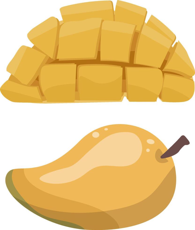 A featuring juicy mango whole and ripe mango, opened and sliced mango, delicious tropical fruit from Thailand. Flat simple. vector
