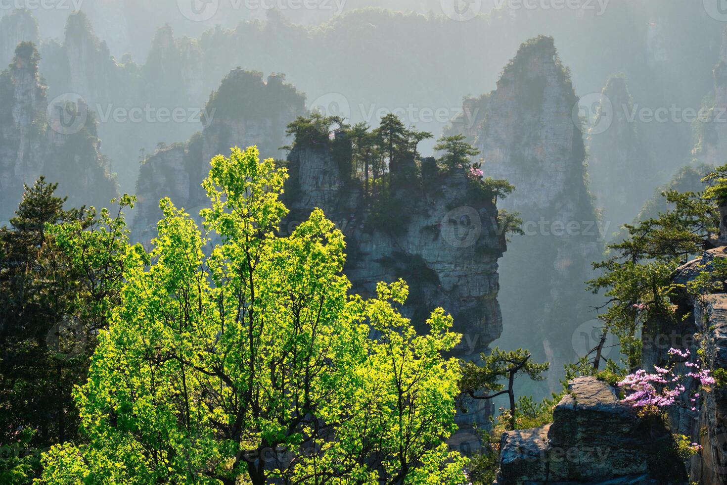 Zhangjiajie mountains, China photo