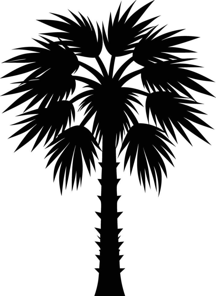 Palmetto tree silhouette on white background vector
